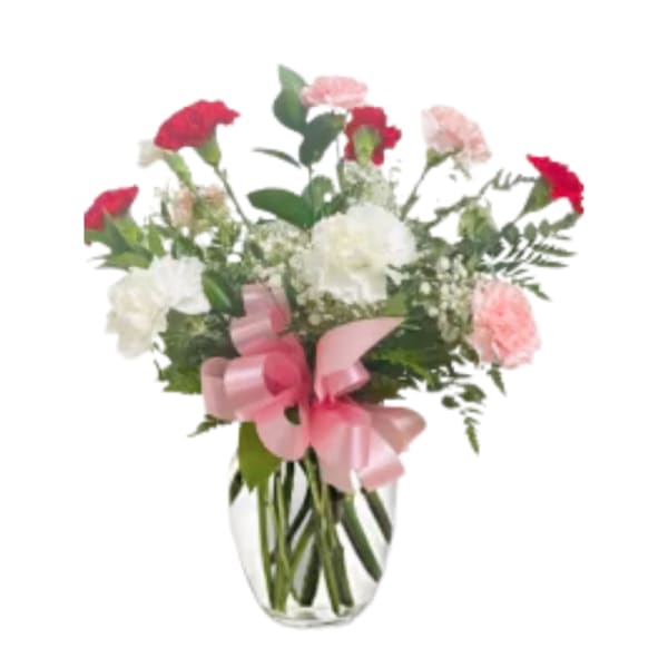 Bouquet of red, pink, and white carnations in a clear glass vase with a pink ribbon