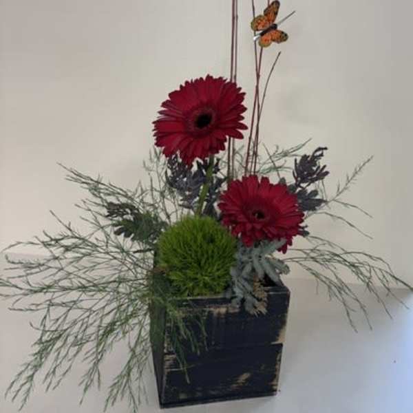 Urban Bloom