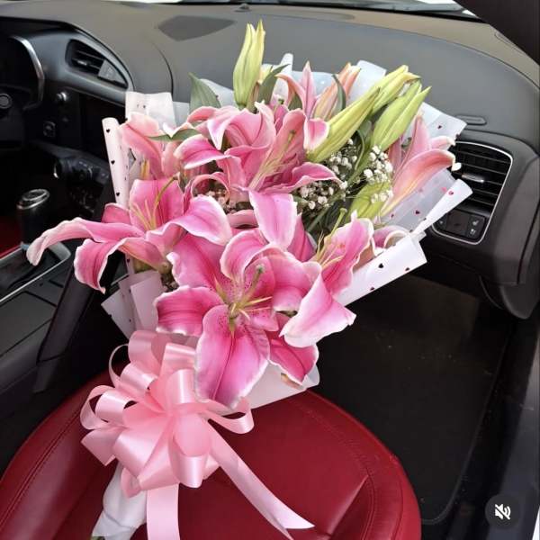 Lily surprise