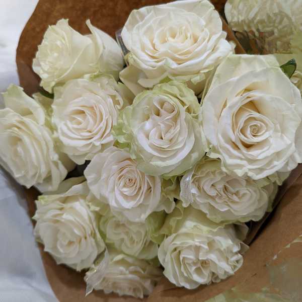 Bouquet of cream-white roses wrapped in brown paper