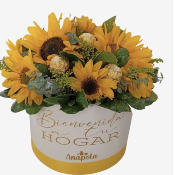 Sunflower arrangement in a white gift box with Spanish text