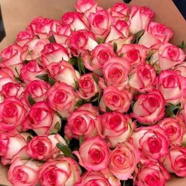 Bouquet of pink-and-white roses wrapped in brown paper
