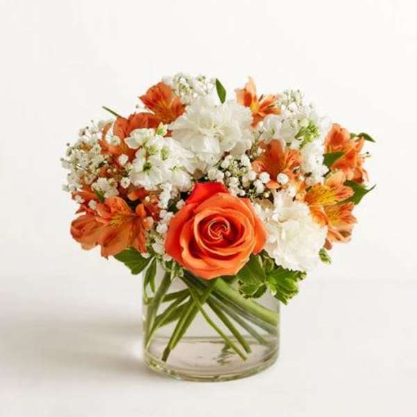 Sweet Citrus Flower