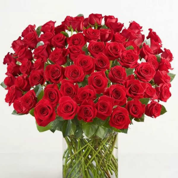 100 Premium Long Stem Red Roses