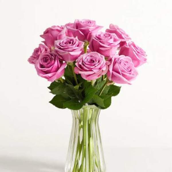 Passion for Purple Roses