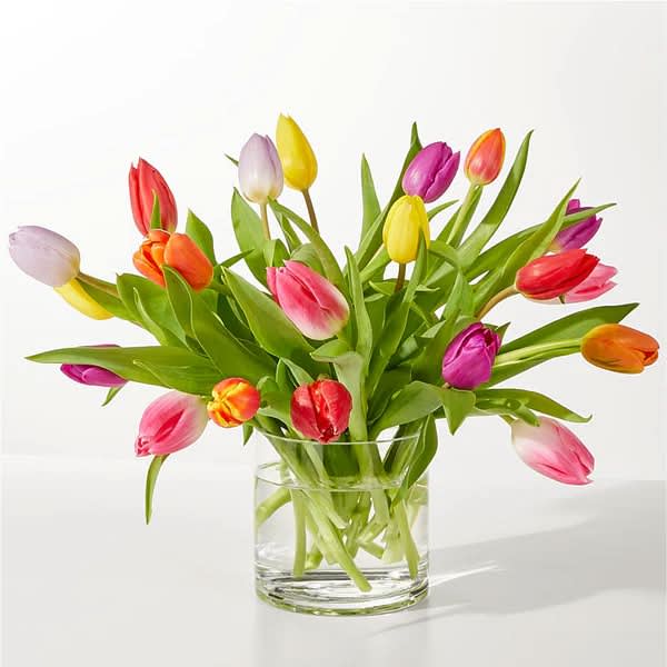 Colorful tulips arranged in a clear glass vase