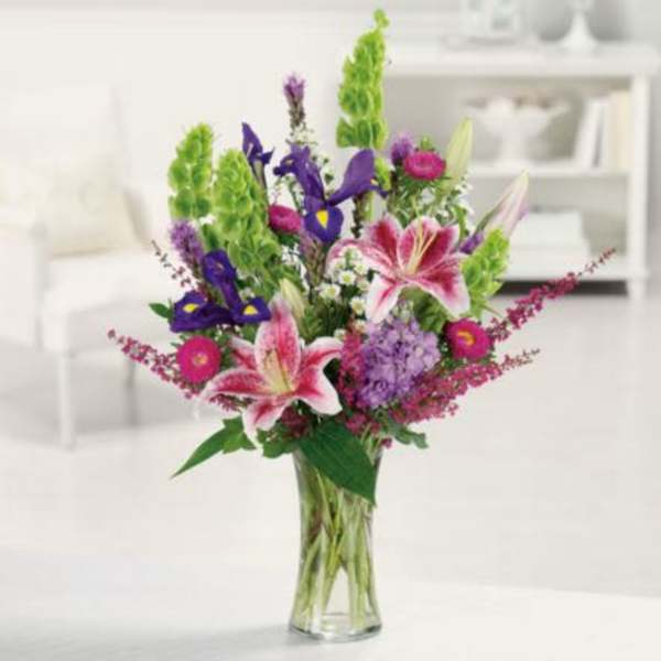 Stargazer Garden Flower