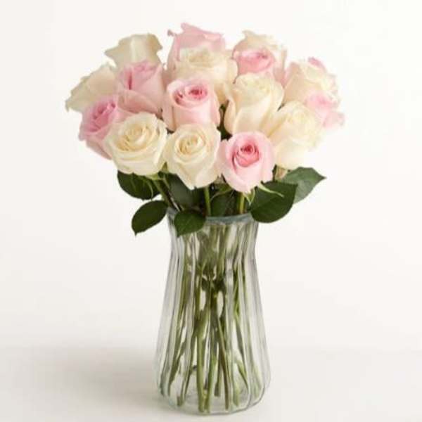 Lovely Mom Roses