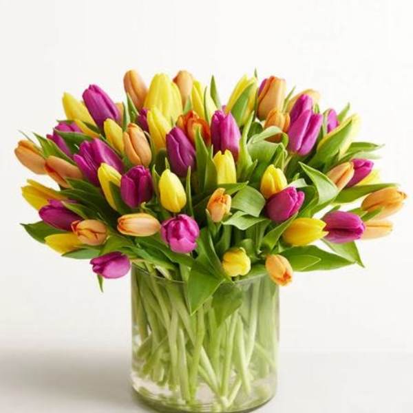 Spring Assorted Tulip