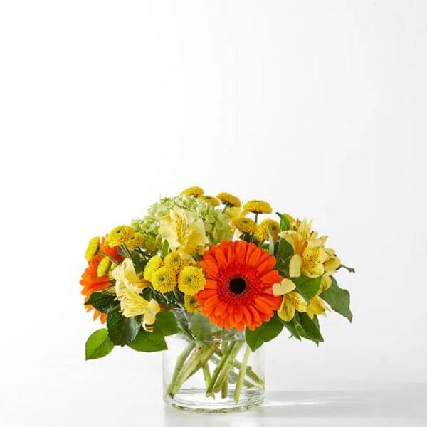 Autumn Sunshine Flower