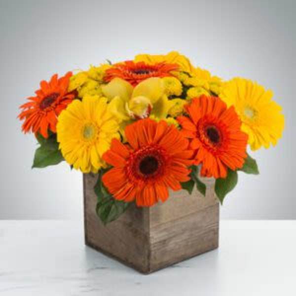 Storybook Flower