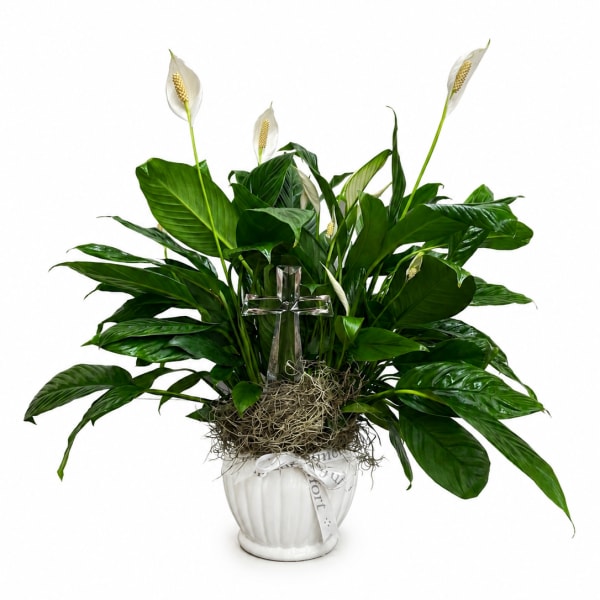 Peace Lily With Crystal Cross