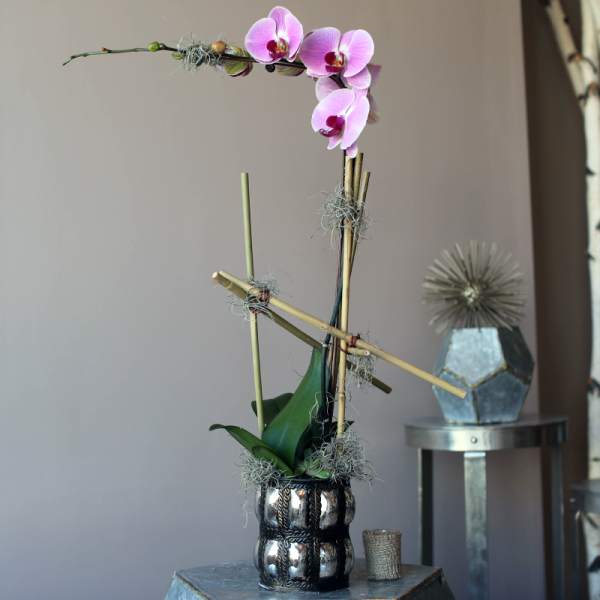 Pink orchid arrangement in a metallic vase with bamboo supports