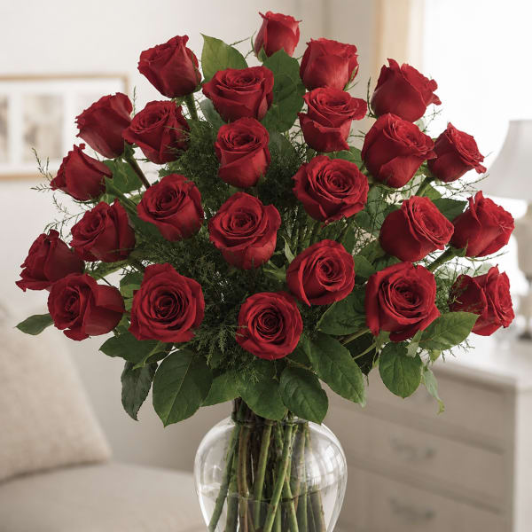 2 Dozen Long Stemmed Roses