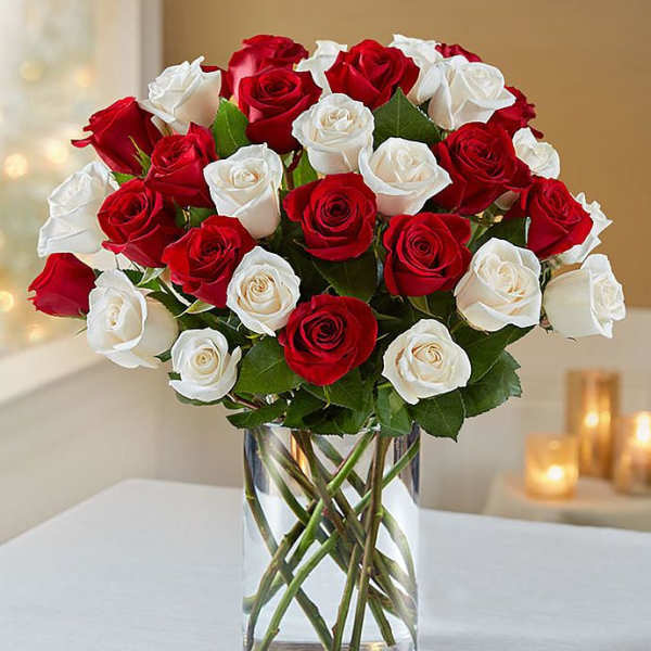 White and Red Roses