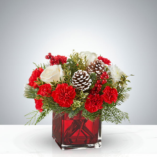 Red Christmas Elegance