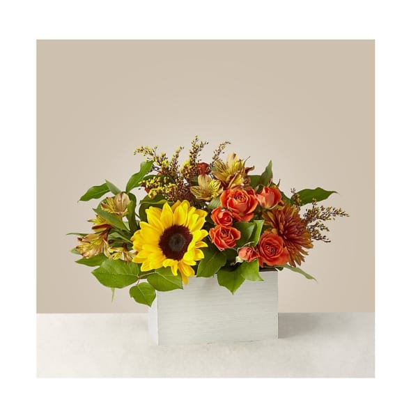 Sunflower and orange rose arrangement in a white box