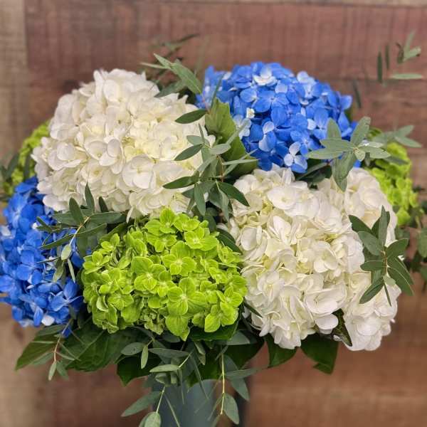 Blue, white, and green hydrangeas arranged in a tall glass vase