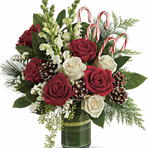 Red and white roses in a glass vase with pinecones and candy canes