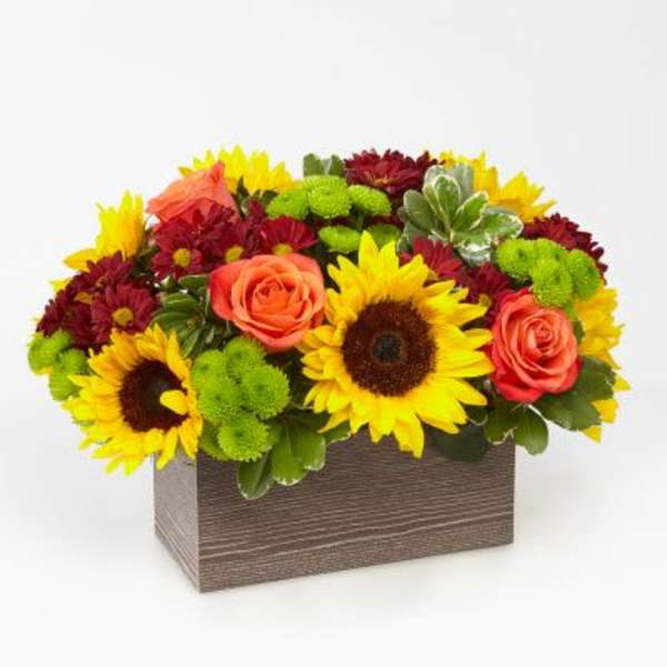 Bright bouquet of sunflowers, roses, and mums in a rectangular box
