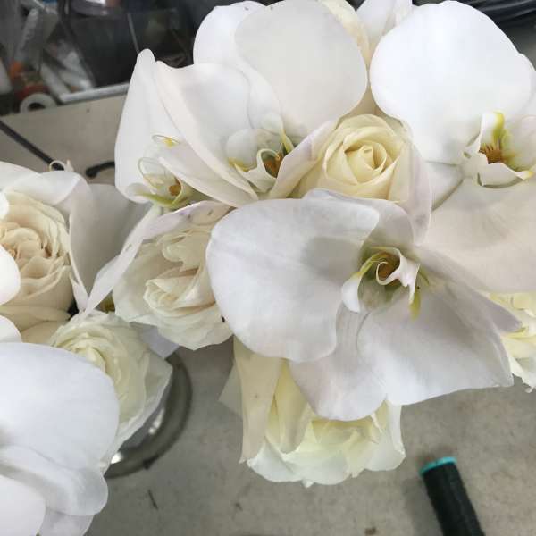 White orchids and cream roses in a bouquet