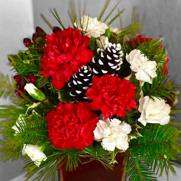 Red and white carnations arranged in a red vase with pinecones and evergreen sprigs