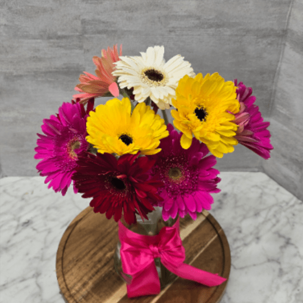 Gerbera Surprise