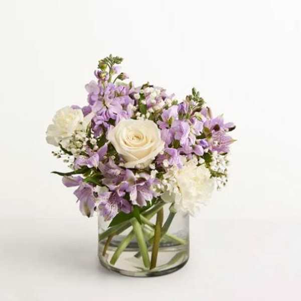 Lovely Lavender Medley