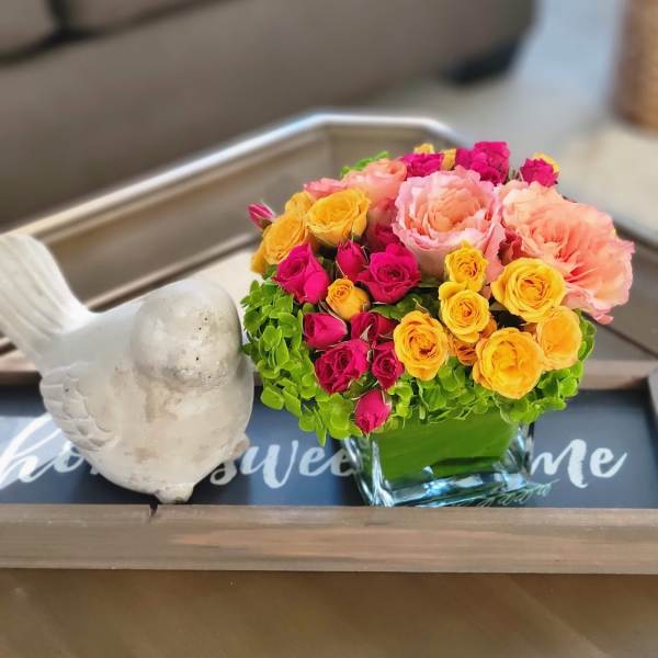 Gelato