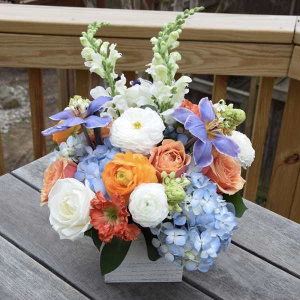 Morning Haze Arrangement