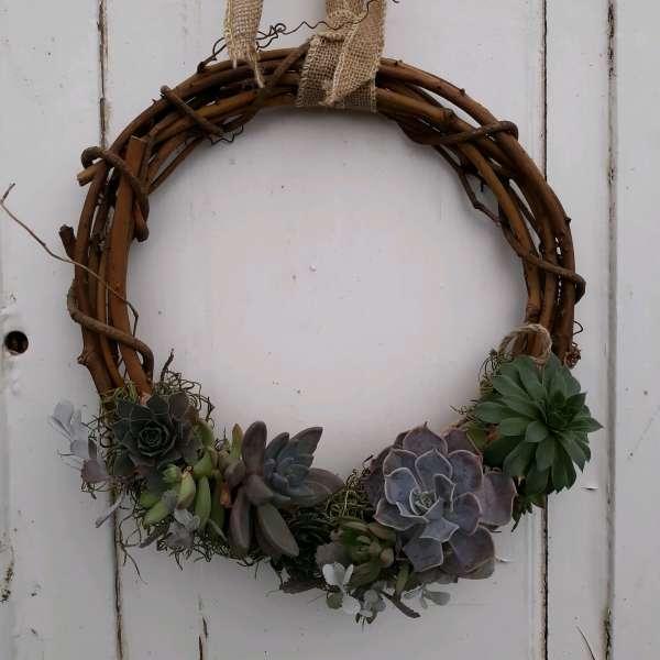 Succulent wreath on a twig ring with burlap hanging ribbon
