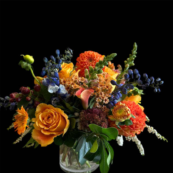EXPLOSION DHALIAS