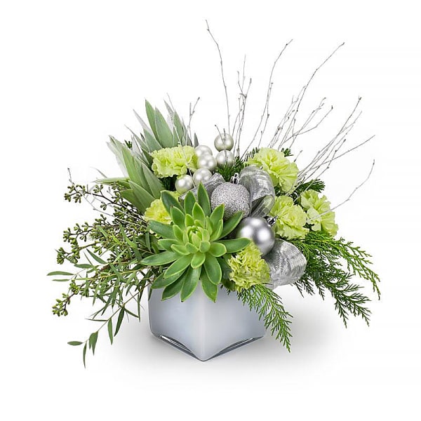 Succulent arrangement with green carnations and silver ornaments in a square vase