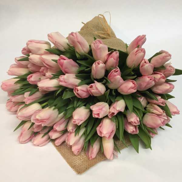 Large bouquet of pale pink tulips wrapped in burlap