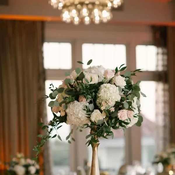 Golden Hydrangeas