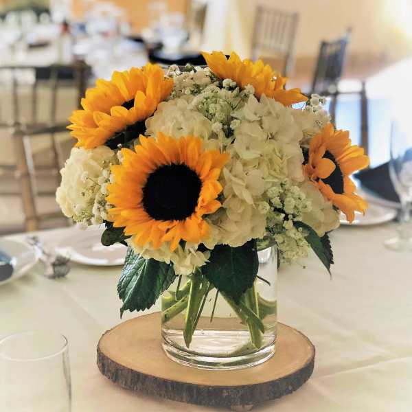 Sunny Days