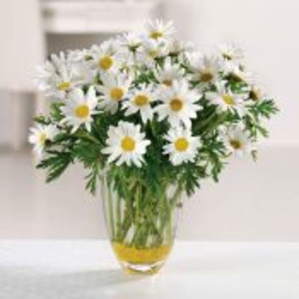 Vase of white daisies with yellow centers arranged in a clear glass vase