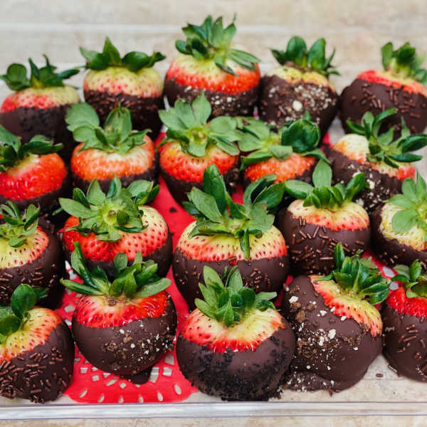 Chocolate-dipped strawberries in a clear plastic tray