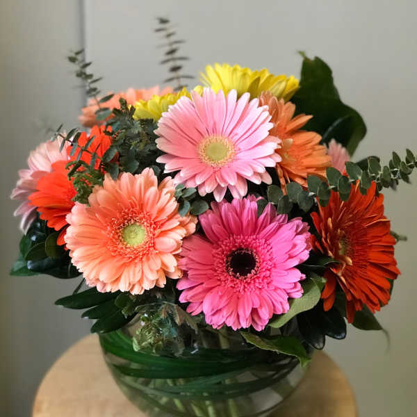 Bouquet of colorful gerbera daisies in a glass vase