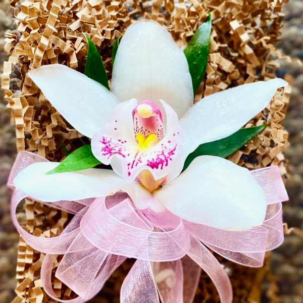 White orchid with pink accents and a pink ribbon bow