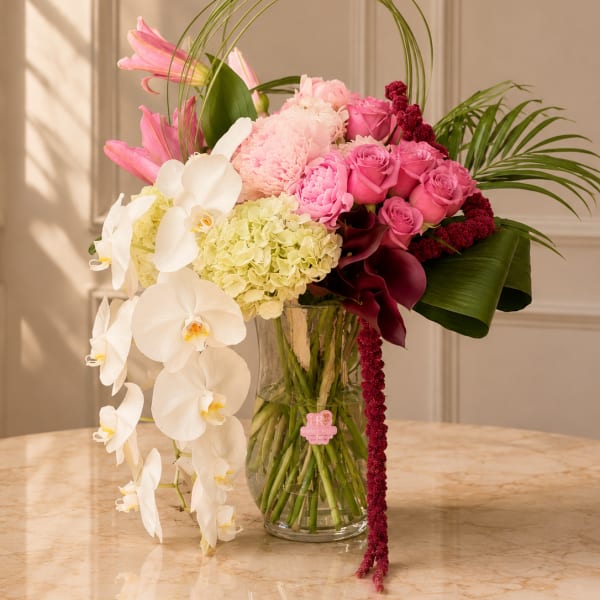 Orchid Bliss