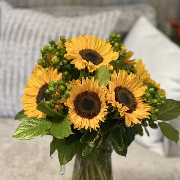 Sunny Dreams