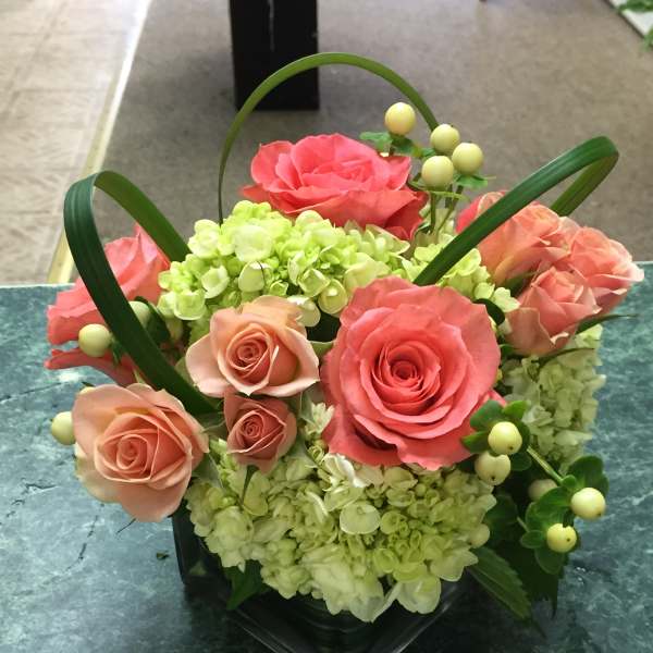 Pink roses and green hydrangeas arranged in a black vase
