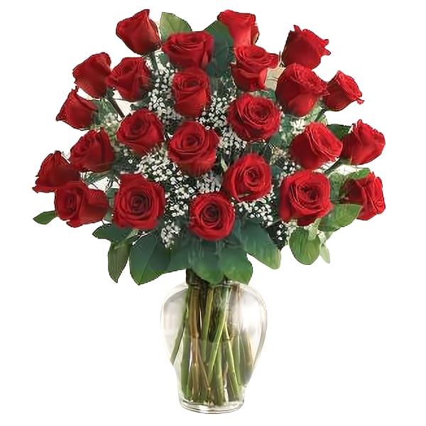 12 RED ROSES IN VASE