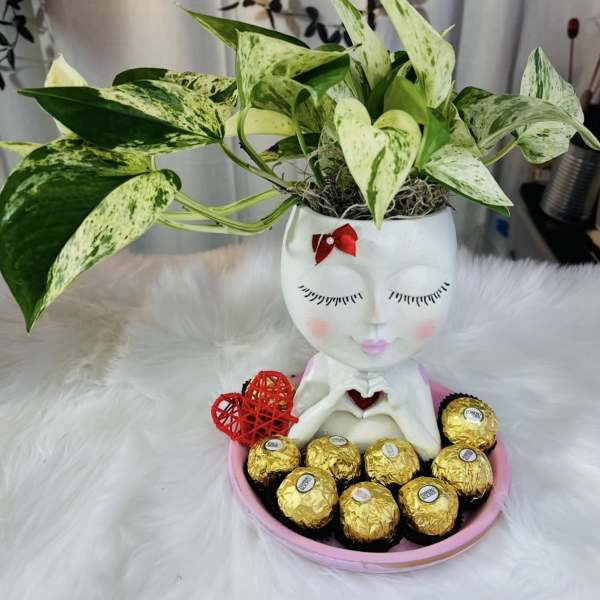 Potted variegated plant in a face-shaped planter with chocolates