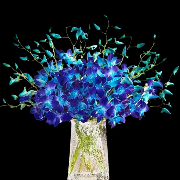 Ocean Blue Dendro Bouquet
