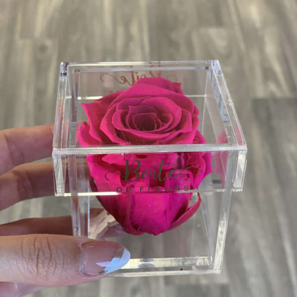 Bright pink rose in a clear acrylic box