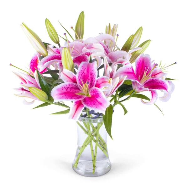 Pink and white stargazer lilies with green buds arranged in a clear glass vase