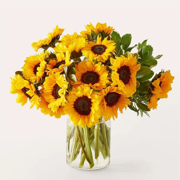 Bouquet of yellow sunflowers in a clear glass vase