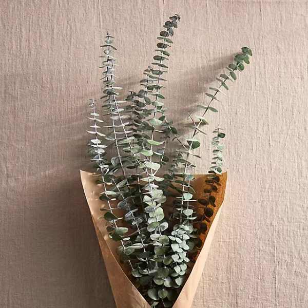 Fresh Eucalyptus Bouquet